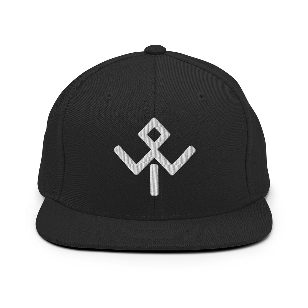 Wild Tribu — Gorra snapback en negro, vista frontal