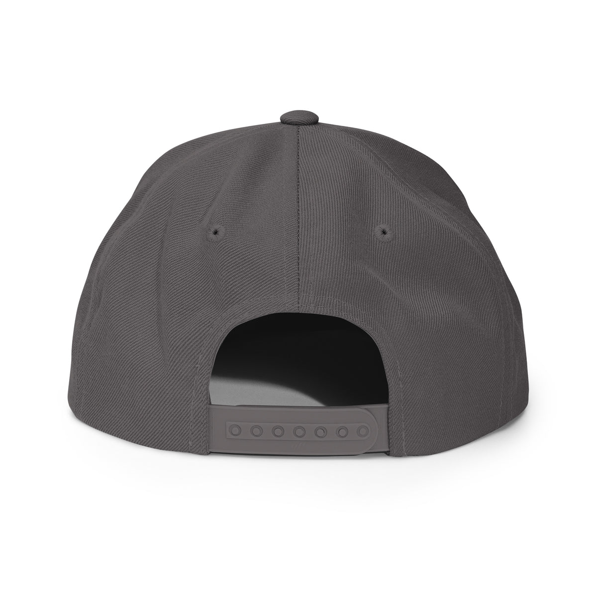 Wild Tribu — Gorra snapback en gris oscuro, vista trasera